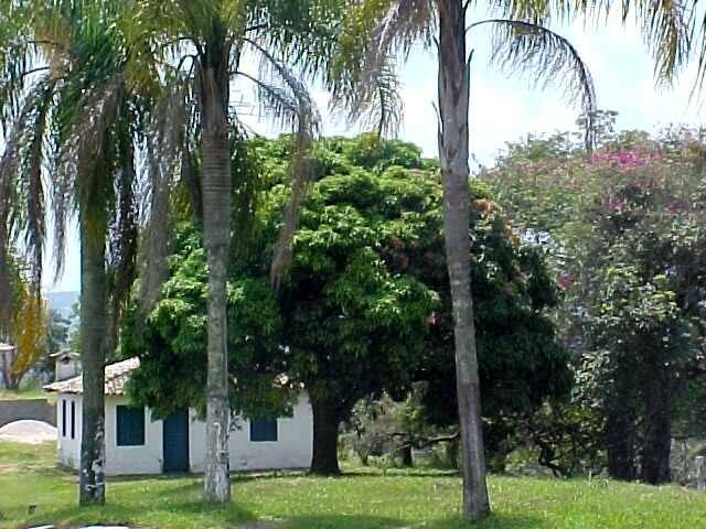 #17 - Área para Venda em Cotia - SP