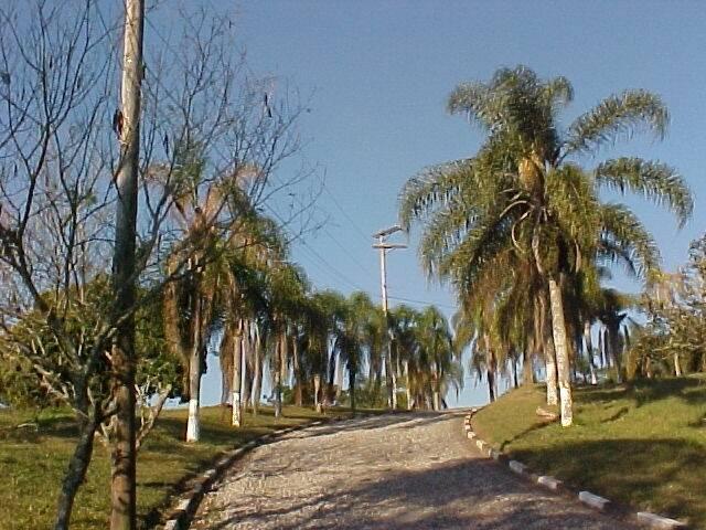 #17 - Área para Venda em Cotia - SP - 3